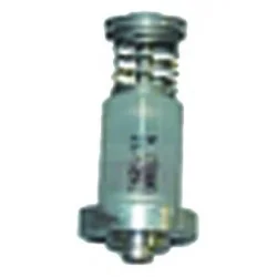 Embout magnétique Chaffoteaux 60034346