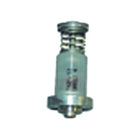 Embout magnétique Chaffoteaux 60034346