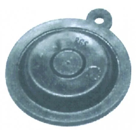 Membrane chaud. roca, maury Chaffoteaux 25809