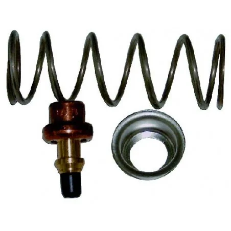 Régulateur thermostatique Roca 5699393