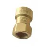 Raccord rapide droit SAE 3/8