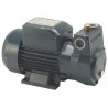 Pompe de transfert fioul PKM 60