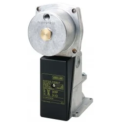 Servomoteur SKP 15 000E2