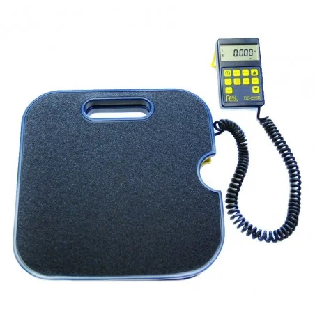 Balance électronique haute précision Ds-220 Balance électronique haute précision Ds-220