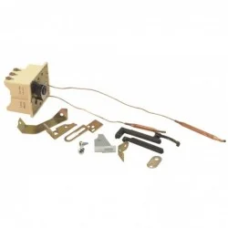 Thermostat BTS 450 avec capillaire
