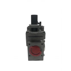 Bloc vanne gaz Eletrosit 0810174